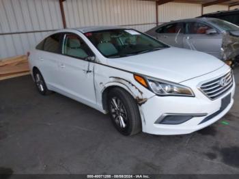  Salvage Hyundai SONATA