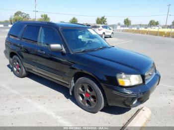  Salvage Subaru Forester