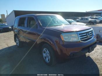  Salvage Honda Pilot