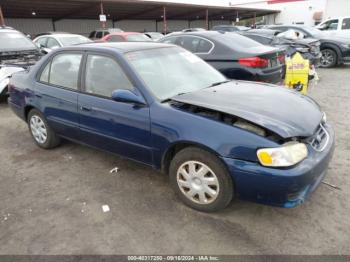  Salvage Toyota Corolla