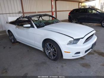  Salvage Ford Mustang