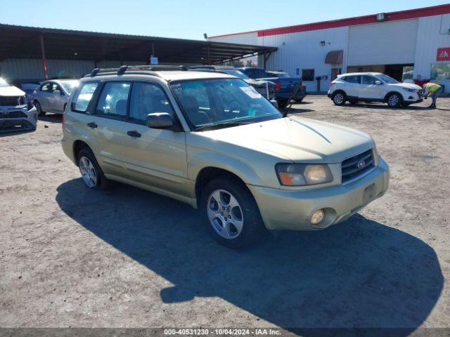  Salvage Subaru Forester