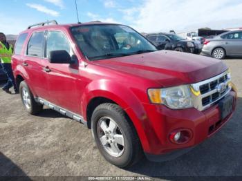  Salvage Ford Escape