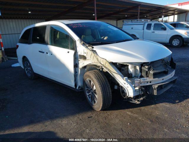  Salvage Honda Odyssey