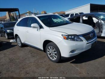  Salvage Lexus RX