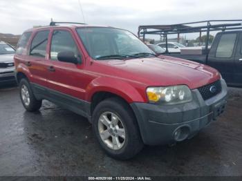  Salvage Ford Escape