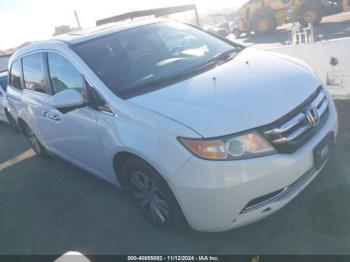  Salvage Honda Odyssey