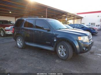  Salvage Ford Escape