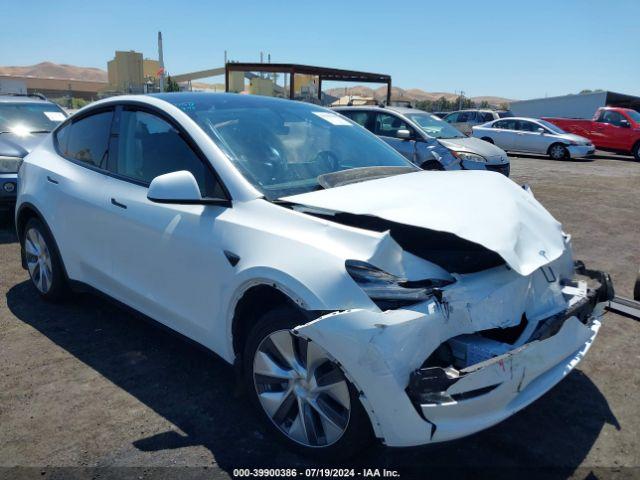  Salvage Tesla Model Y