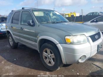  Salvage Ford Escape