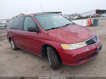  Salvage Honda Odyssey