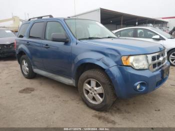  Salvage Ford Escape