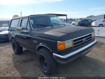  Salvage Ford Bronco