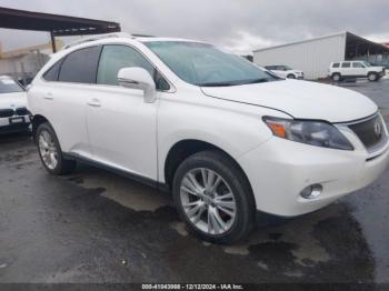  Salvage Lexus RX