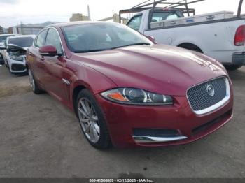  Salvage Jaguar XF