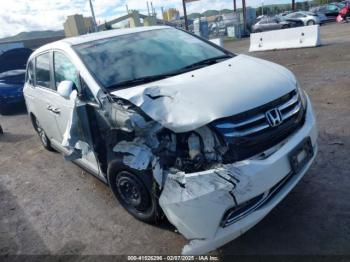  Salvage Honda Odyssey