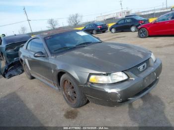  Salvage Ford Mustang