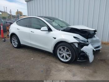  Salvage Tesla Model Y