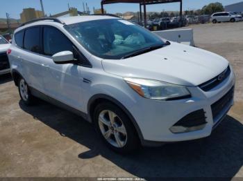  Salvage Ford Escape