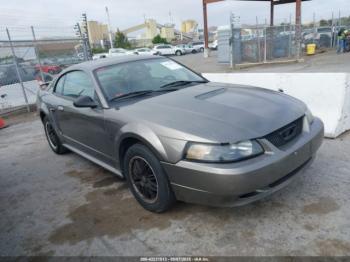  Salvage Ford Mustang