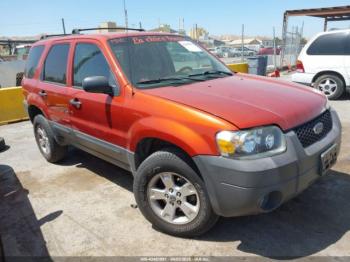  Salvage Ford Escape