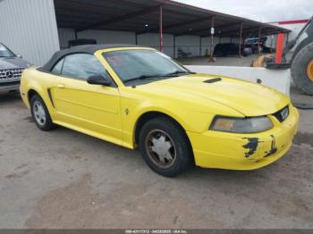  Salvage Ford Mustang