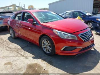  Salvage Hyundai SONATA
