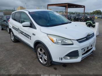  Salvage Ford Escape