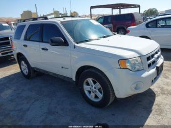  Salvage Ford Escape