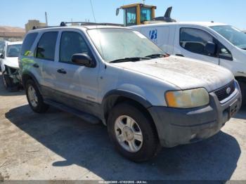  Salvage Ford Escape