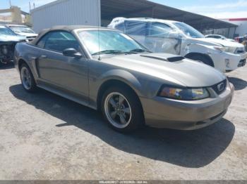  Salvage Ford Mustang