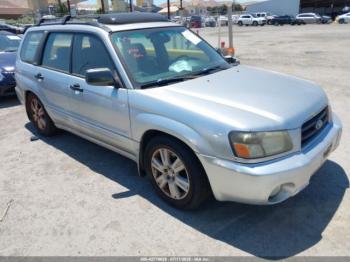  Salvage Subaru Forester