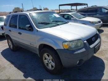  Salvage Ford Escape