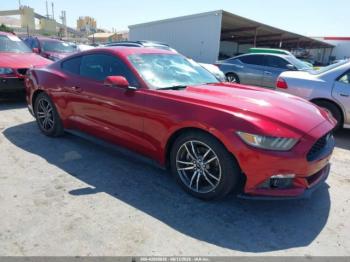  Salvage Ford Mustang