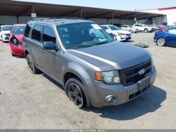  Salvage Ford Escape