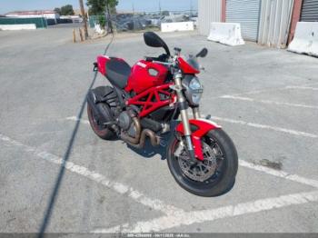  Salvage Ducati Monster