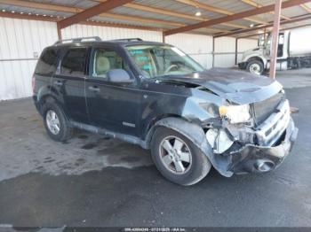  Salvage Ford Escape