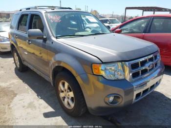  Salvage Ford Escape