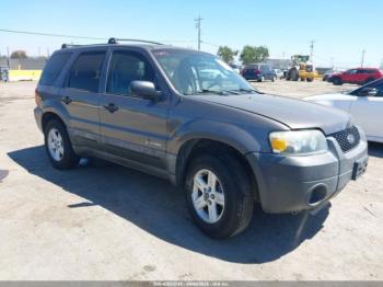  Salvage Ford Escape