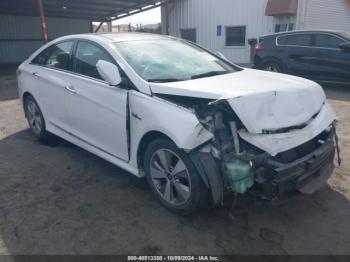  Salvage Hyundai SONATA