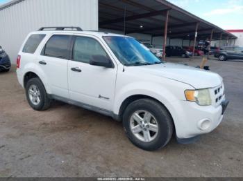 Salvage Ford Escape