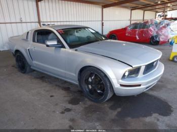  Salvage Ford Mustang