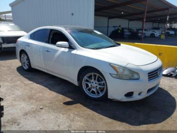 Salvage Nissan Maxima