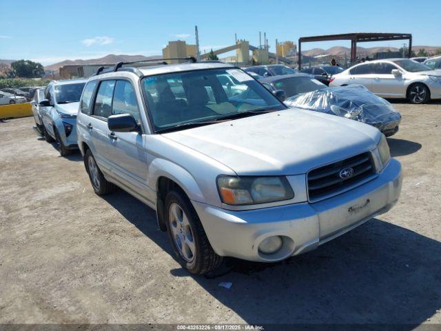  Salvage Subaru Forester