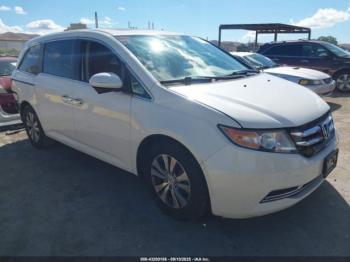  Salvage Honda Odyssey
