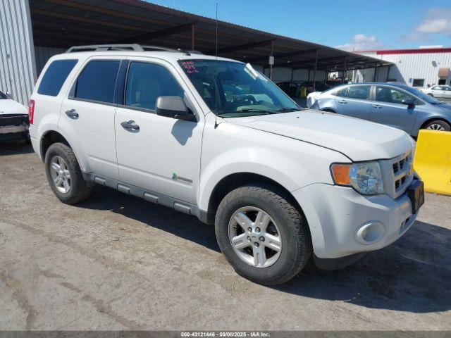  Salvage Ford Escape