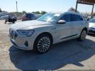 Audi e-tron Premium Plus Image 3