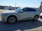 Audi e-tron Premium Plus Image 11