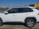 Toyota RAV4 Xle Image 14