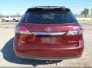 Lexus RX Image 2